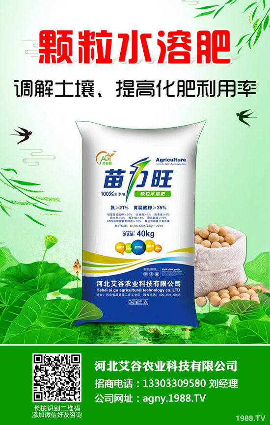 小麥施肥特點及規律決定一季施幾次肥