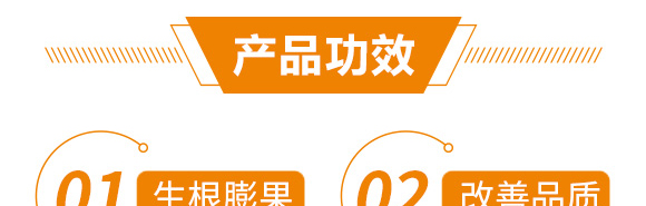 高產綠滿天-郭師傅-立信生物_06