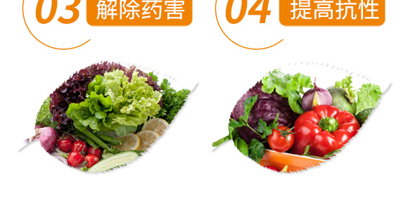 高產綠滿天-郭師傅-立信生物_08