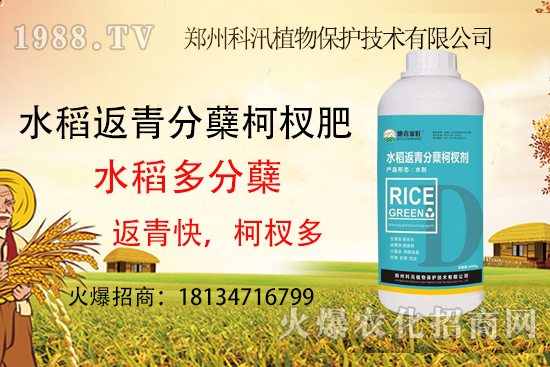 水稻施肥有技巧,這些你都知道了么?水稻施肥技術要點!