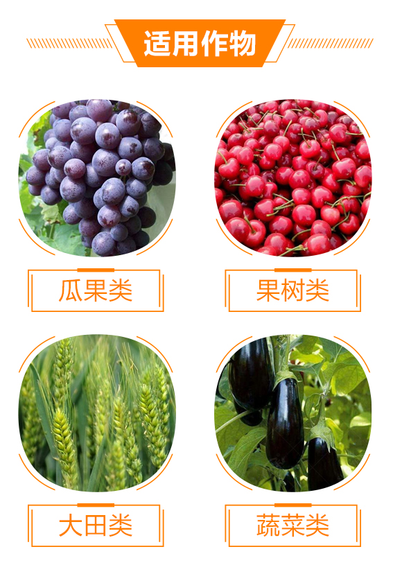 南寧市華沃農業科技有限責任公司1_05