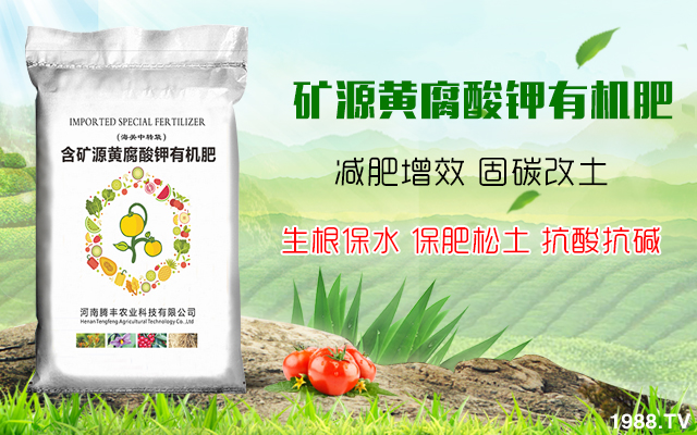 騰豐農業