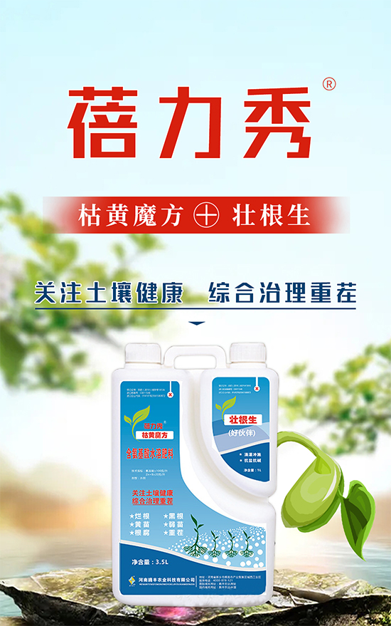 騰豐農業