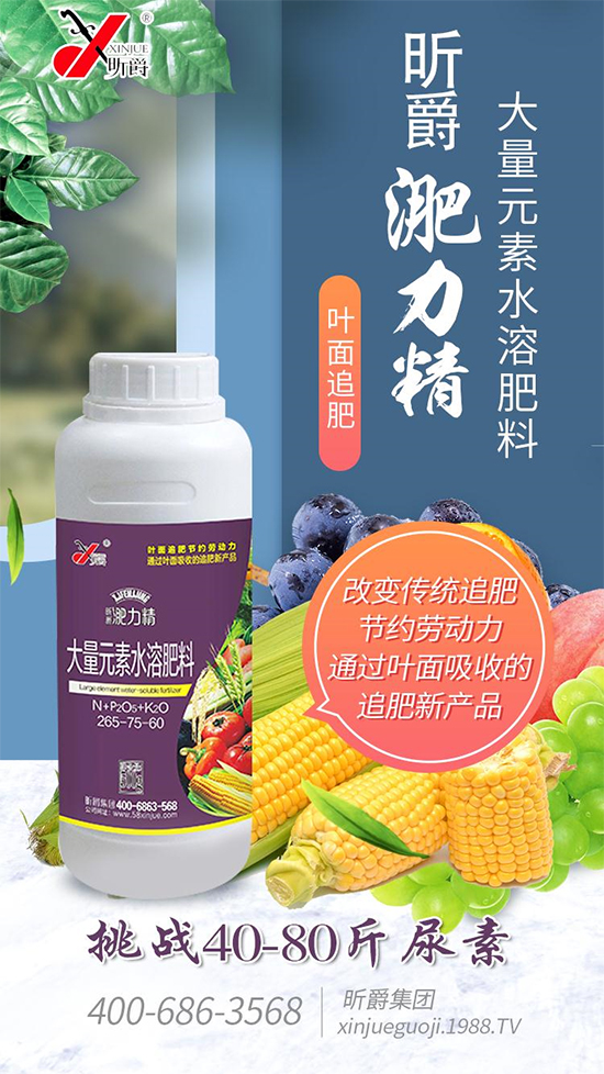 昕爵集團87