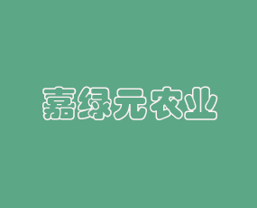 ݼξGԪrIƼ޹˾