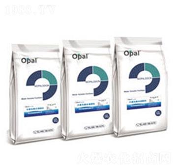 OPALaˮܷ-W㘷
