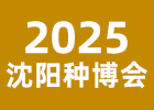 2005ꖷN