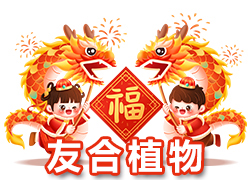 【鄭州友合植物】祝全國人民在新的一年里年年有余、歲歲平安！